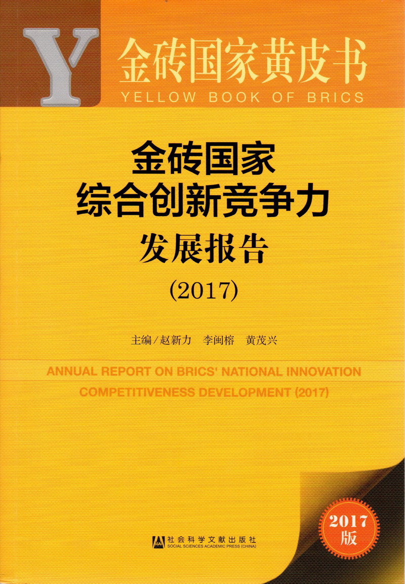 成人透b视免费金砖国家综合创新竞争力发展报告（2017）